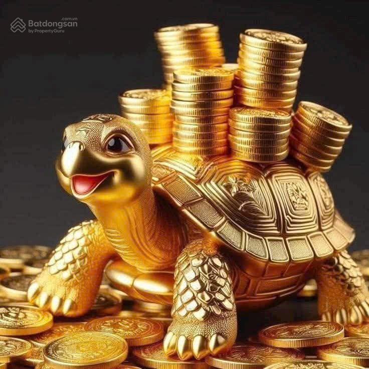 Chủ ngộp cần bángấp ngang 6m
.4tâng 4pn chỉ 7ty2