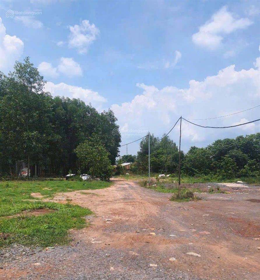 Đất 3 mặt tiền đường vành đai 4, bình minh trảng bom, 8600m2. giá chỉ 800k/m2