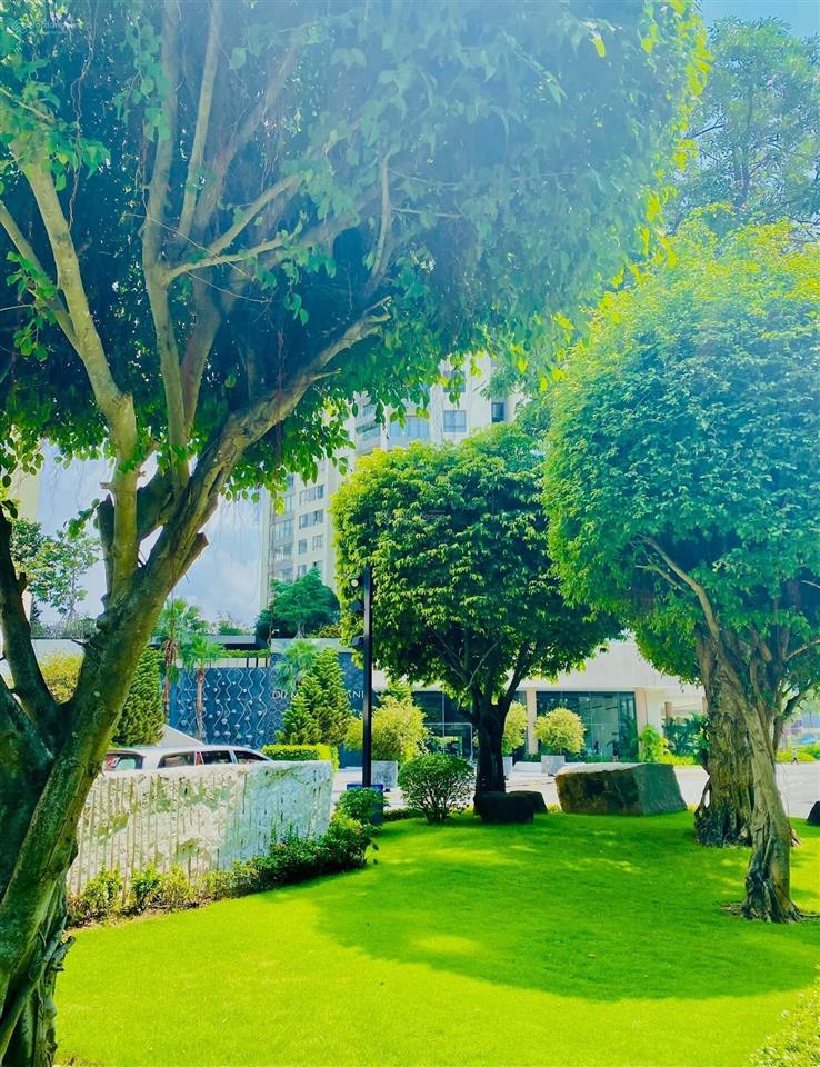 Tin trực tiếp chính chủ || list 3 phòng ngủ đảo kim cương cần cho thuê gấp, giá mềm nhất dự án