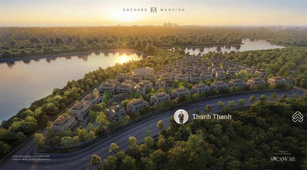 Rổ hàng độc quyền orchard mansion  biệt thự, dinh thự đồi tại sycamore  capitaland ck đến 11%
