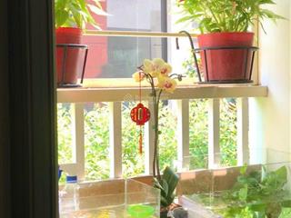 * hot.! cơ hội để quý gia chủ sở hữu ch homyland ngay mt nguyễn duy trinh.