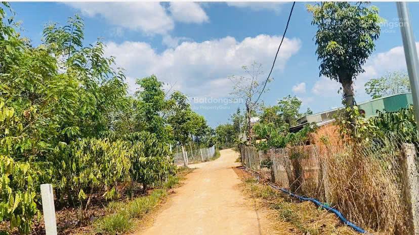 Chỉ 340 triệu/sổ 1044m2 sẵn 300 m2 thổ cư. đất tại xã đắk wer, gần cao tốc chơn thành gia nghĩa
