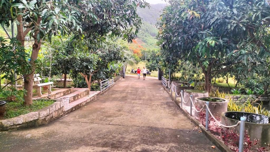 Chỉ 1,8 triệu/m² sở hữu ngay 3.000m² không gian sống xanh tại phước đồng nha trang. gần tĩnh lộ 3