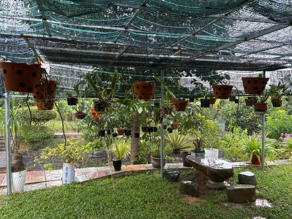 Chỉ 1,8 triệu/m² sở hữu ngay 3.000m² không gian sống xanh tại phước đồng nha trang. gần tĩnh lộ 3