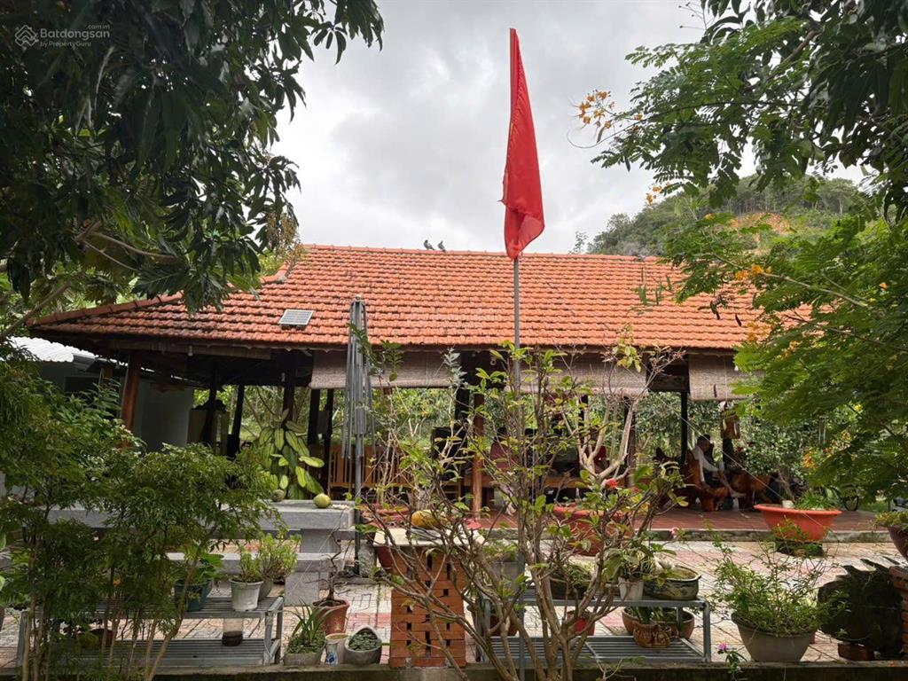 Chỉ 1,8 triệu/m² sở hữu ngay 3.000m² không gian sống xanh tại phước đồng nha trang. gần tĩnh lộ 3