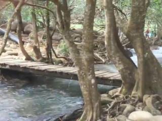 Vườn điều giáp suối cực đẹp, xã vạn phú, huyện vạn ninh  khánh hoà. dt hơn 3,2ha. chỉ tầm 500k/m2