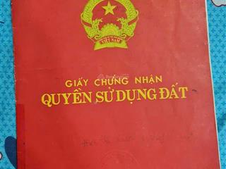 Đất vườn, bình chánh, mặt tiền 61m x 7m