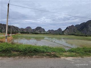 Bán đất thổ cư đối diện đường vào khu du lịch tiên sơn, vĩnh an, vĩnh lộc (chính chủ)