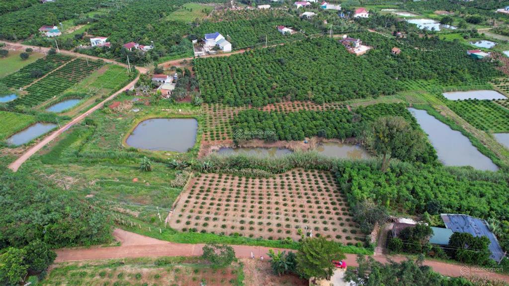 Bán 1307m2 tại đường trương định mặt tiền, nhìn sang nhà thờ lán tranh, tân hà, lâm hà, lâm đồng