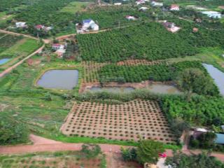 Bán 1307m2 tại đường trương định mặt tiền, nhìn sang nhà thờ lán tranh, tân hà, lâm hà, lâm đồng