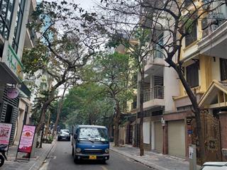 Chủ nhà cần bán gấp biệt thự khuất duy tiến, nguyễn xiển, thanh xuân. diện tích 150m2 xây 5 tầng.