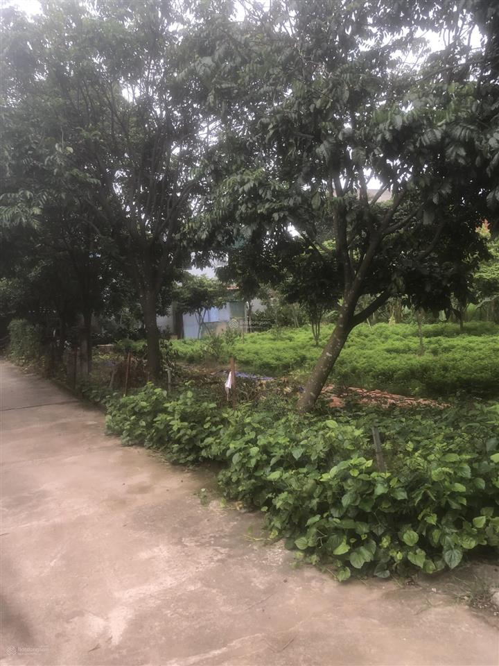 Bán lô đất xen kẹt hiếm, diện tích 600m2, mặt tiền 38m, lô góc cực đẹp tổ 16 yên nghĩa