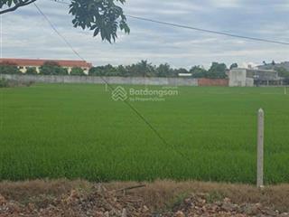 Bán đất thổ cư 100% mặt tiền đường út an, đức hòa, long an, giá siêu hời 2,1 tỷ, 5m x 57m (286,3m2)