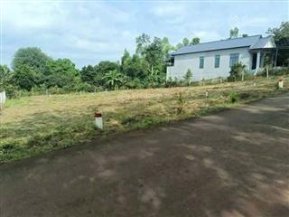 Bán gấp đất tại xã bàu chinh, châu đức, bà rịa vũng tàu, 650 triệu, 150m2