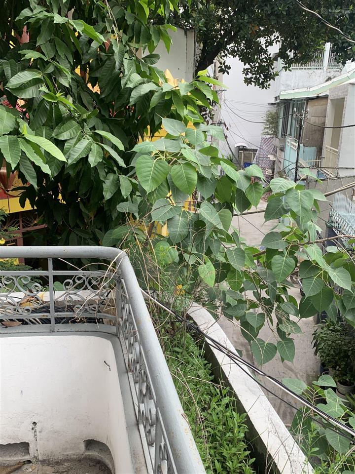 Nhà hxh  khu vip huỳnh tịnh của, q3  34m2  2 tầng  cho thuê 15 tr/tháng  chỉ 4.9tỷ