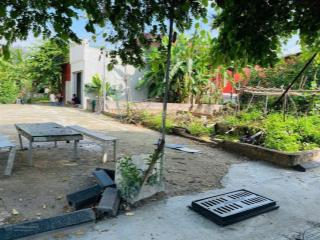 Tôi chính chủ cần bán gấp đất mỹ nội, đông anh, 45.8m2. ngõ xe tải