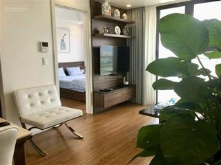 Căn hộ chính chủ, 2pn view sông hàn, giá tốt, tầng cao. đang cho thuê 18 tr/tháng