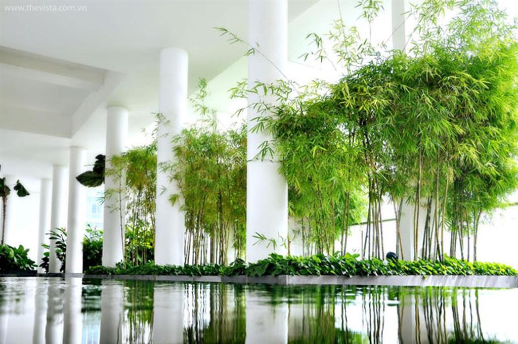 Dành cho khách thích view chùa thanh tịnh 140m2 3pn 3wcthe vista an phú q2 hcm nhà đẹp sẵn hđ thuê