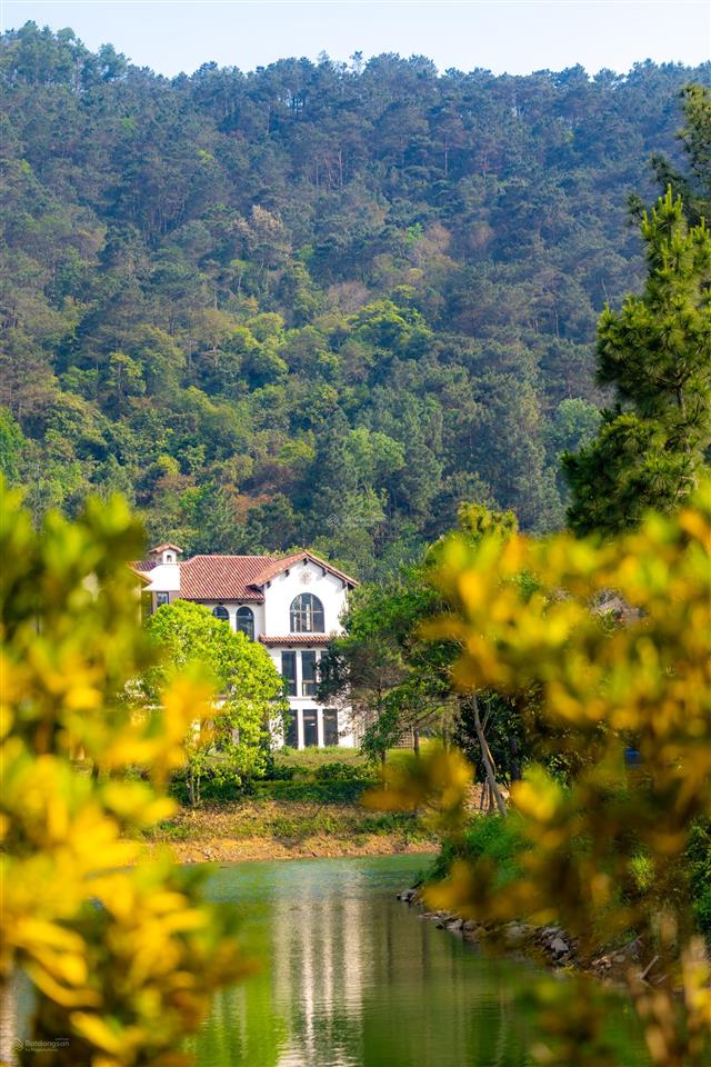 Chuyển nhượng bt đơn lập, view hồ tặng bố mẹ, hầm trú ẩn cho kh yêu sự riêng tư thanh xuan valley