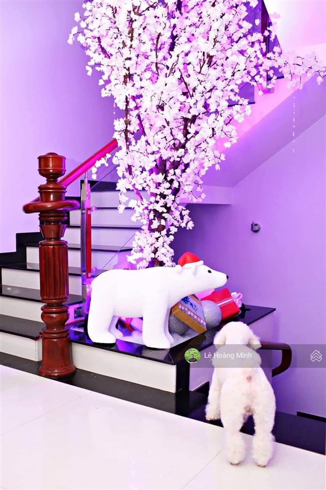Villa đẹp 10m x 20m. 1 hầm 3 lầu khu biệt thự phú nhuận, lê thị riêng