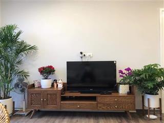 Bán gấp trong tuần căn góc 80m2 thông thủy 2pn 2vs tại chung cư thông tấn xã, giá cực tốt chỉ 5,4tỷ
