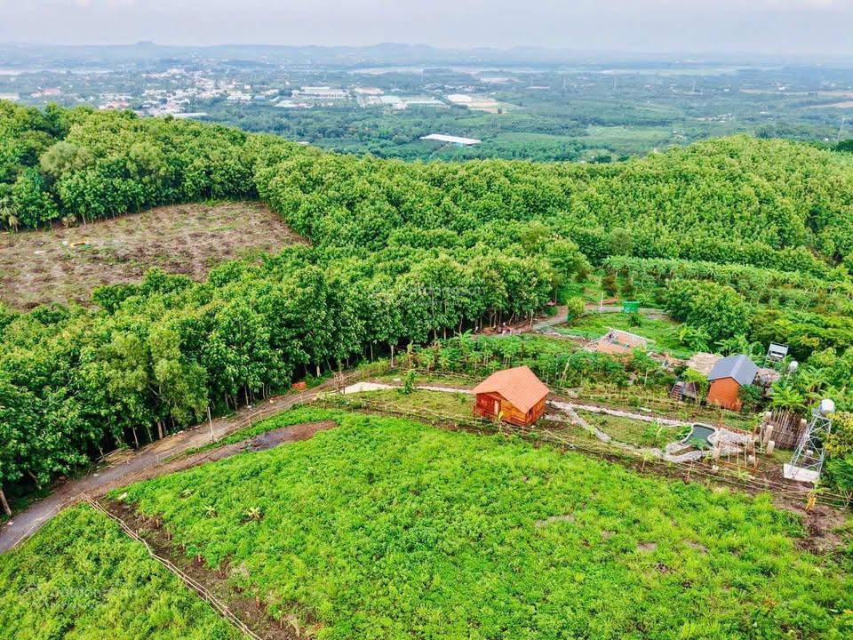 Bán gấp vườn nghỉ dưỡng cạnh hồ trị an view đồi, giáp suối trong lành, thung lũng thơ mộng