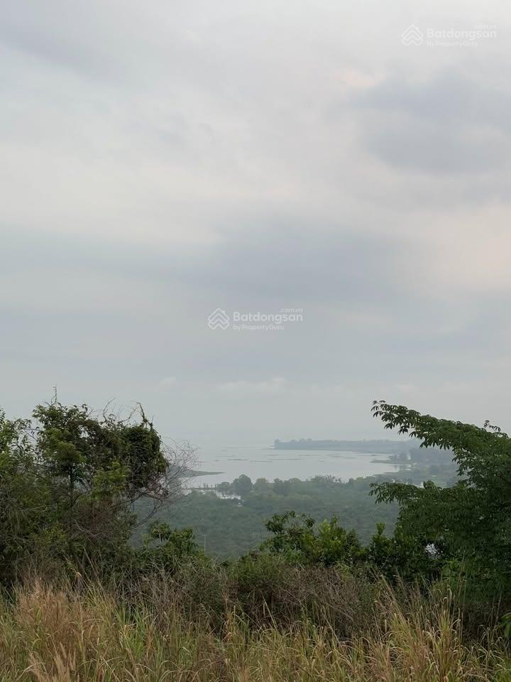Bán gấp vườn nghỉ dưỡng cạnh hồ trị an view đồi, giáp suối trong lành, thung lũng thơ mộng