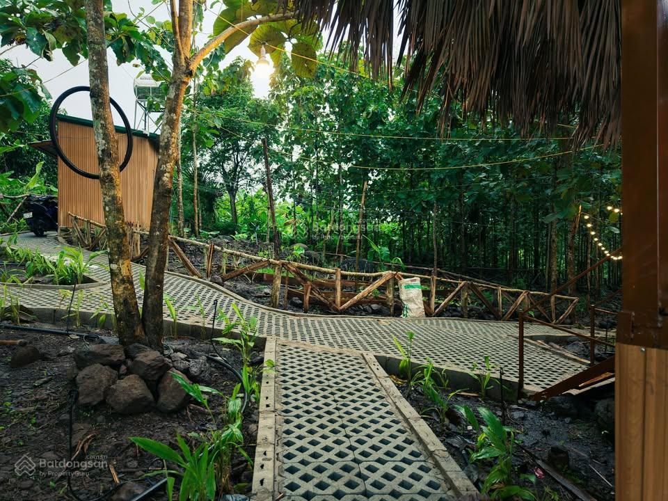Bán gấp vườn nghỉ dưỡng cạnh hồ trị an view đồi, giáp suối trong lành, thung lũng thơ mộng