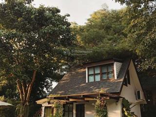 Sở hữu ngay lô đất vườn trái cây cổ thụ 1000m2  ngang 18m  kế tp long khánh