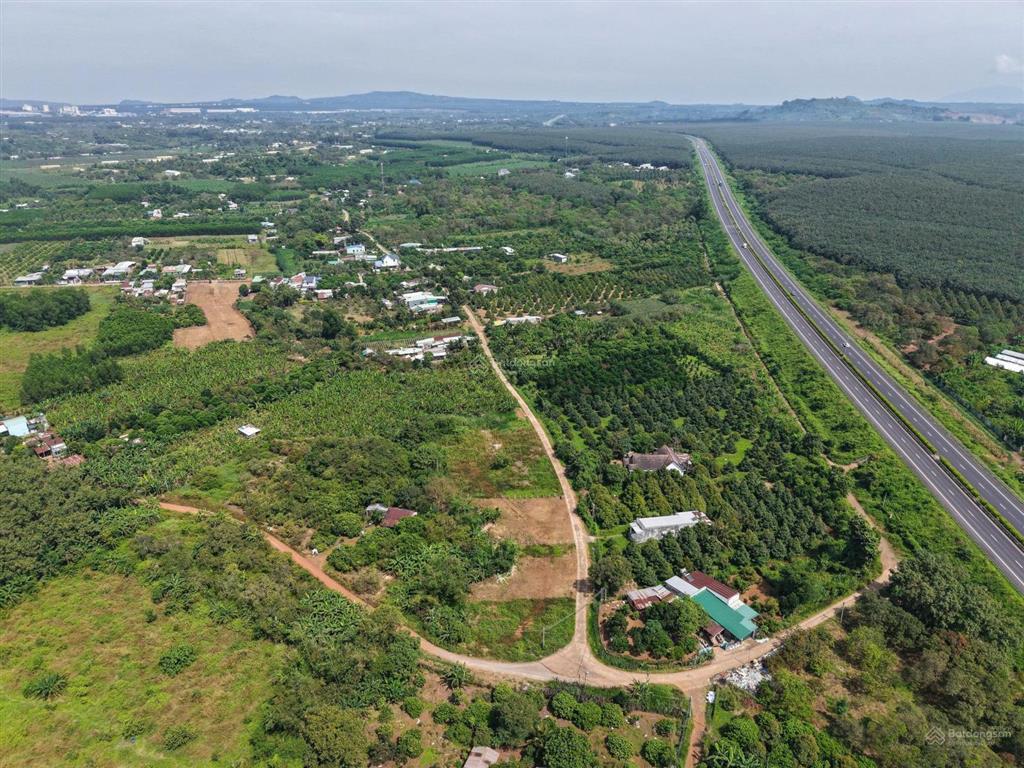 Bán gấp lô đất vườn sẵn 104m2 thổ cư gần sân bay quốc tế long thành giáp suối chảy tự nhiên