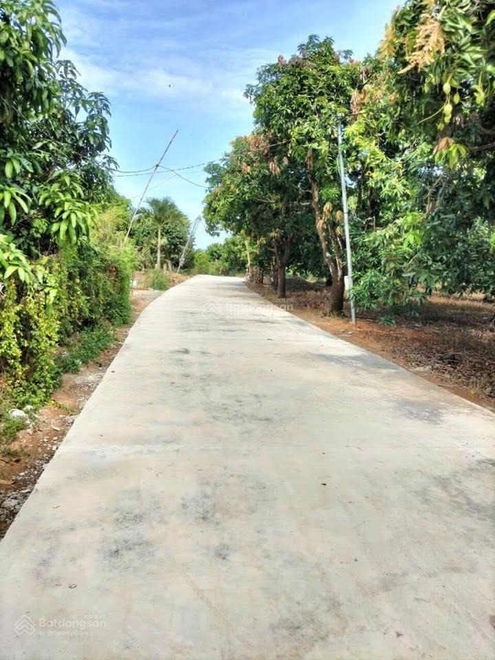 Đất vườn 1170m2 view sông la ngà yên bình  đường bê tông  ngang 36m  chỉ 850tr/sào