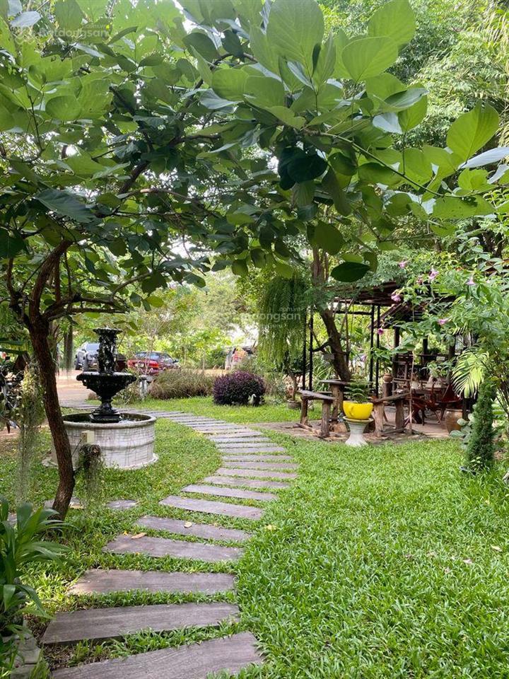 Đất vườn 1170m2 view sông la ngà yên bình  đường bê tông  ngang 36m  chỉ 850tr/sào