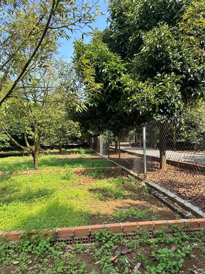 Bán gấp lô đất 125m2 full thổ cư gần trung tâm hành chính dầu giây  đầy đủ tiện ích  đường xe hơi