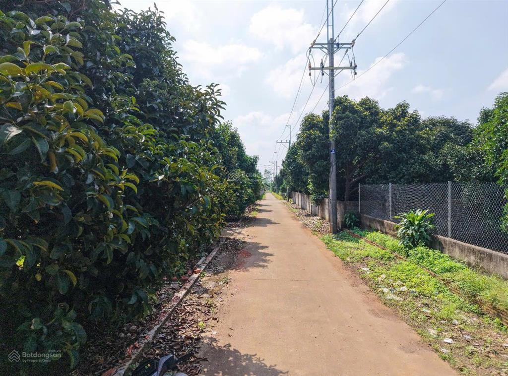 Đón sóng đầu tư đất full thổ cư ngay tại dầu giây  chỉ 775tr  shr
