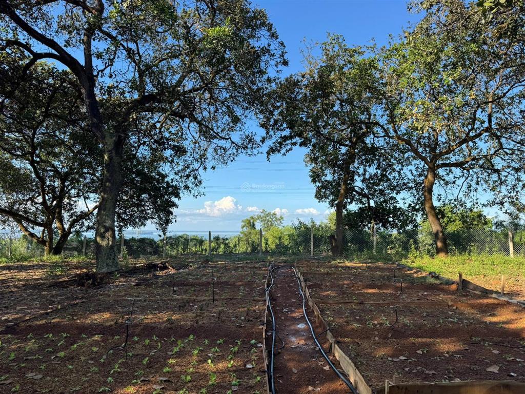 Đầu tư một lần  sở hữu ngay lô đất vườn view hồ  cách tphcm 55km  1150m2 chỉ 990tr  shr