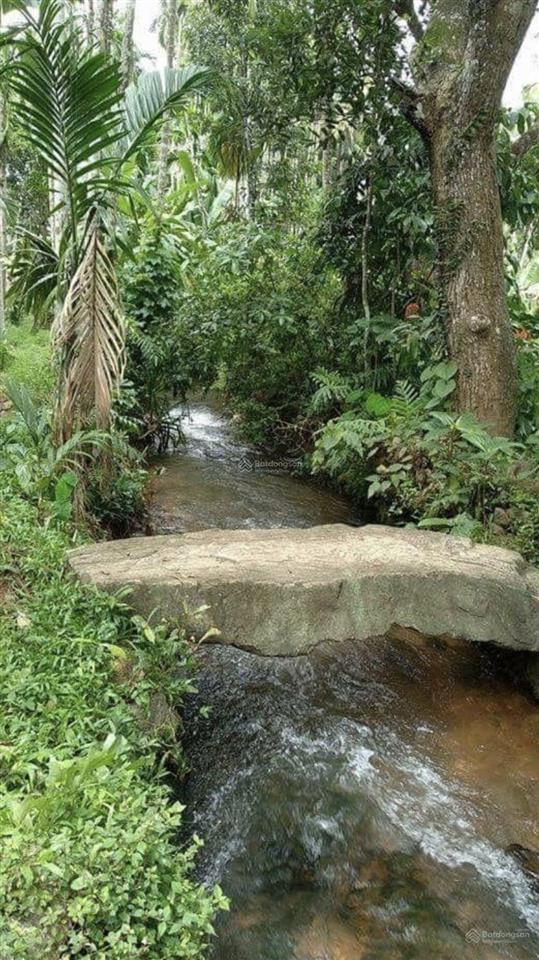 Đầu tư một lần  sở hữu ngay lô đất vườn view hồ  cách tphcm 55km  1150m2 chỉ 990tr  shr