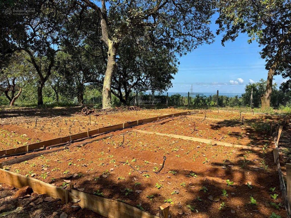 Đầu tư một lần  sở hữu ngay lô đất vườn view hồ  cách tphcm 55km  1150m2 chỉ 990tr  shr