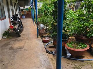 Bán gấp dãy trọ ngay đh tây nguyên 5 phòng full khách, giá chỉ 2,28 tỷ