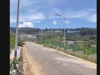 Bán dn 297,32m2 tại bidoup, lạc dương, lâm đồng