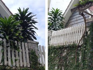 Biệt thự kdc cao cấp nguyễn hữu trí  bình điền 160m² (10x16m), 2 sổ 4pn, giá 12 tỷ +  0961 300 ***