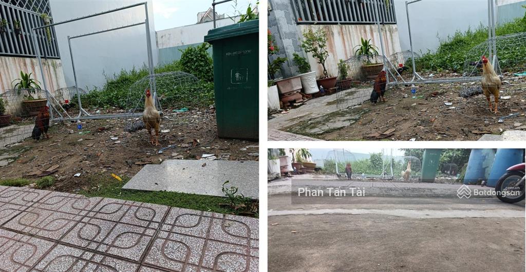 Đất an phú tây gần đầu mối bình điền chánh chủ bán ngang 5,8m 153.2m² odt /161.2m² cn giá 3.2 tỷ