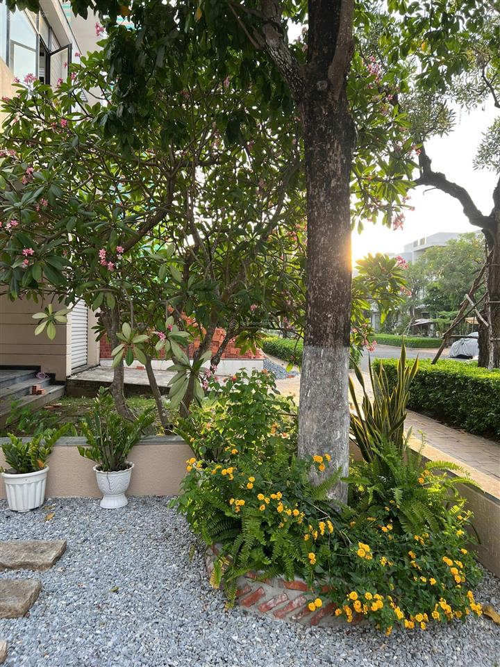 Cho thuê biệt thự lucasta liên phường q9 giá 33tr/tháng full nội thất