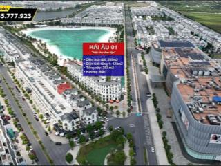 Hàng hiếm! bán biệt thự song lập ngọc trai đảo nhỏ tại vinhomes ocean park gia lâm