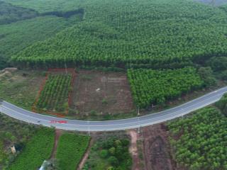 Bán nhanh bđs có dòng tiền ổn định . tt xã trị an  đn. vị trí đẹp  phù hợp các loại kd