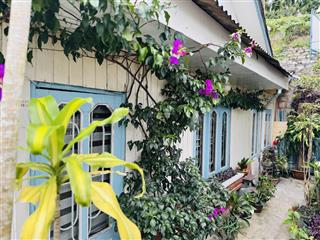 Bán đất tặng căn nhà gỗ đà lạt xưa với 233m2 ra hồ xuân hương chỉ 5 phút, tại đường đào duy từ