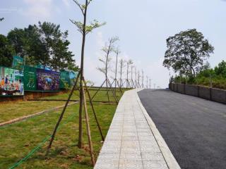 Chỉ nhỉnh 2 tỷ sở hữu ngay lô đất vàng 100m² hiếm tại cổ đông,sơn tây tiềm năng tăng giá cực mạnh