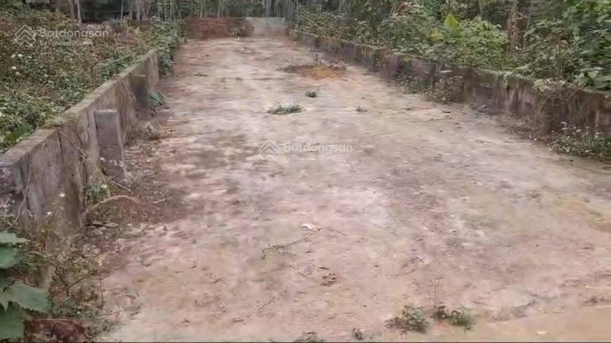 Bán đất thôn đồng vàng, xã phú mãn, huyện quốc oai, hà nội