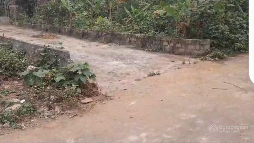 Bán đất thôn đồng vàng, xã phú mãn, huyện quốc oai, hà nội