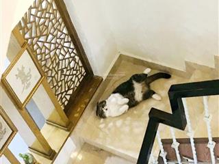 Chính chủ bán nhà 518/8/33 lê văn sỹ, p11, phú nhuận. 4 lầu , giá 8ty5