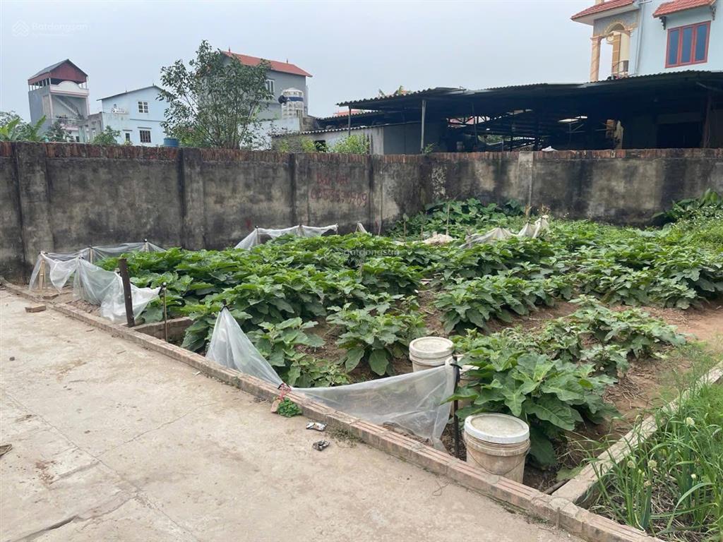 Bán đất 64m2 phú thị (nay thuộc xã thuận an), gia lâm giá chỉ 4 tỷ